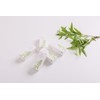Lemon Verbena 2ml NATURELLE NATURELLE Essential Oil