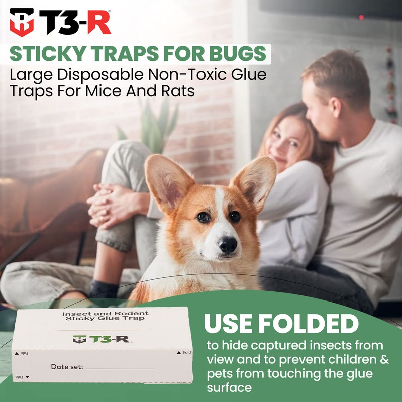 T3-R ​​Sticky Traps for Mice and Insect Glue Boards -