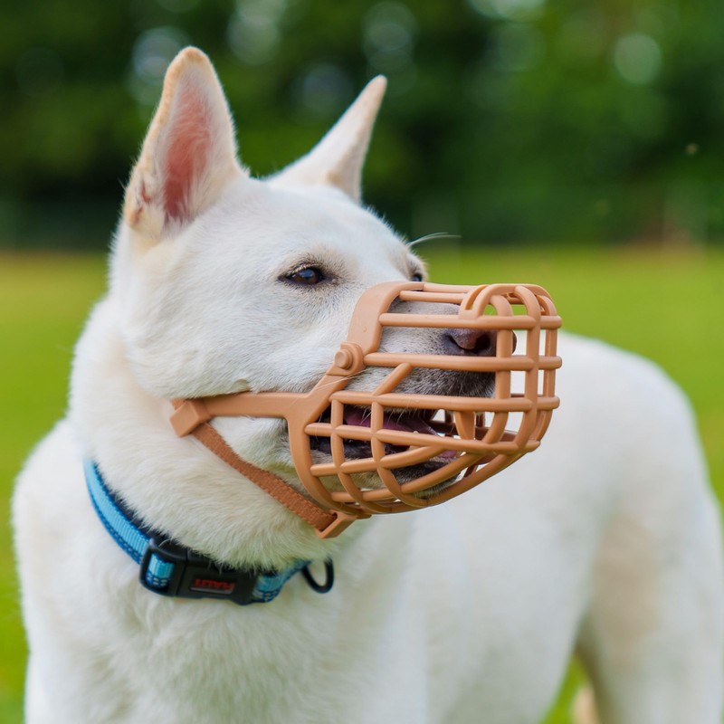 Baskerville Classic Basket Muzzle - Dog can Pant and Drink,