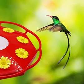 30Pcs Yellow Hummingbird Feeder Parts Polygonal Garden Hummingbird Feeder Replacement 3cm Flowers Plastic Waterproof Bee Guards Wild Bird Feeders for Outdoor Hummingbird Feeders Birds