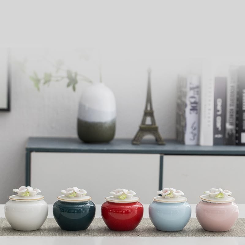 Mini Urn Urn Compact Small Memorial Urn for Hand Cremation