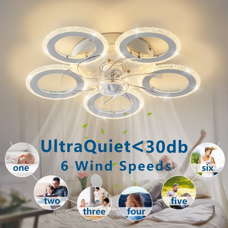 Dalouguan Modern Ceiling Fan with Light, 20" Personality Geometric Ceiling