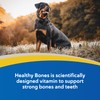 Doc Roy’s Healthy Bones Calcium Phosphorus Supplement Vitamin for Puppies,