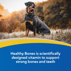 Doc Roy’s Healthy Bones Calcium Phosphorus Supplement Vitamin for Puppies, Dogs, Kittens & Lactating Females, Supports Strong Bones, Teeth & Muscle, Roast Beef & Liver Flavored, 100ct Chewable Tablets