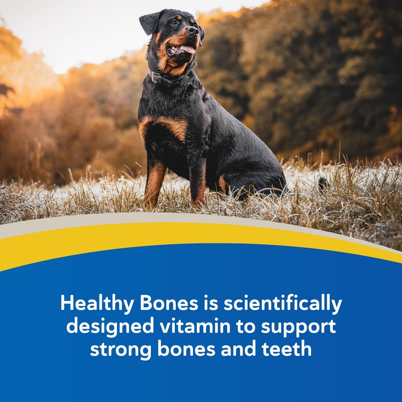 Doc Roy’s Healthy Bones Calcium Phosphorus Supplement Vitamin for Puppies,