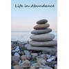 Life in Abundance: Stories of Purpose, Promise, and Provision
