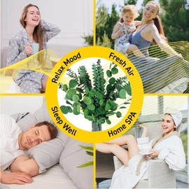 24PCS Dried Eucalyptus & Silver Dollar Leaves Bundle - 17" Large Real Eucalyptus Leaves for Shower, Eucalyptus Plant Greenery for Vase Filler, Home Decor, Bathroom, Dried Flowers, Christmas Garland