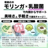 本然農園 モリンガ青汁 RESCUE 健康青汁 粉末 マンジェリコン 自然派 ナチュナル 大麦若葉 食物繊維