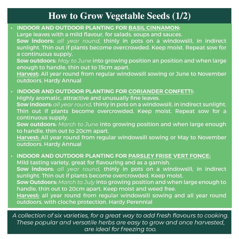 Herbs for Containers Seeds – 6 Varieties Separately Packed –