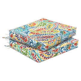 Melody Elephant Set of 2 Outdoor Chair Cushions 24 x 24 x 4, Water Repellent Patio Seat Cushion with Removable Cover, All Weather Thick Chair Cushion for Wicker、Sofa、Outdoor Furniture,Paisley Multi