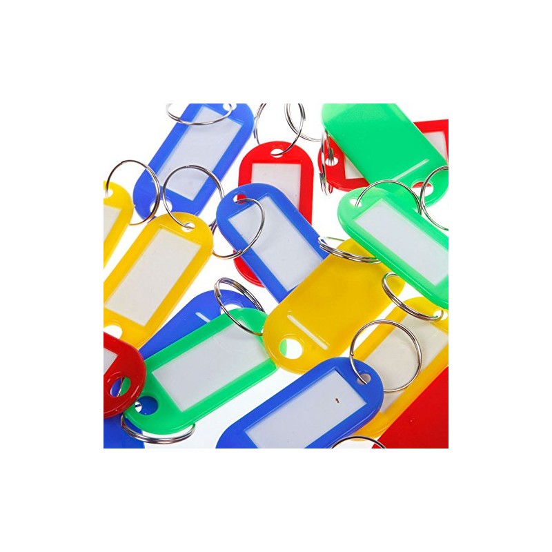 100 Pack Tough Plastic Key Tags with Label Window ID