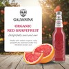 Galvanina Red Grapefruit with Pulp – Premium Organic Italian Sparkling