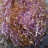 2LB Crinkle Cut Paper Shredded Paper for Gift Box Baskets