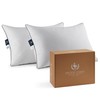 Pacific Coast Pillows Queen Size Set of 2, Goose Feather