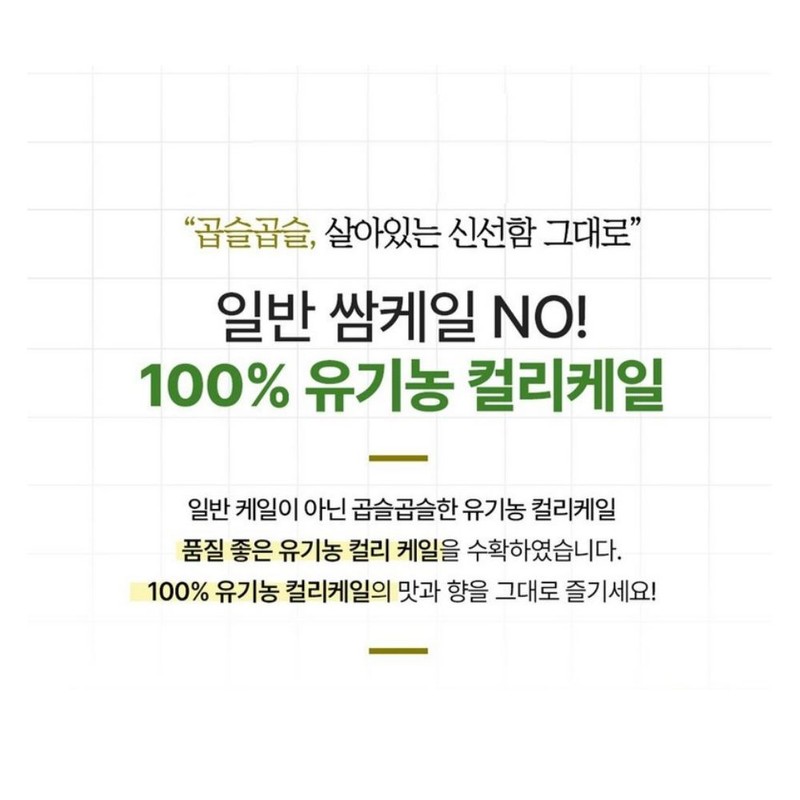 케어플러스 유기농 컬리케일 100% 동결건조 곱슬케일 분말 가루 스틱, 28g,