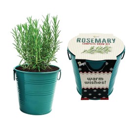 BUZZY Seeds Rosemary Holiday Herb Garden Grow Pail - Indoor Starter Kit, Guaranteed to Grow, Best Grow Your Own Herbs & Plants Gardening Gift, Great for Gifts, Favors, Parties, Events, Unique & Fun