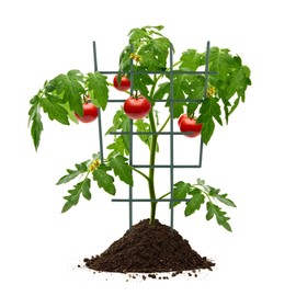 DOITOOL - 5 enrejados de jardín de plástico para Plantas trepadoras, Enrejado de jardín para enrejados de Escalada, Flores, Verduras, Pepino Enrejado (Verde, 30,5 x 18,5 x 0,5 cm)