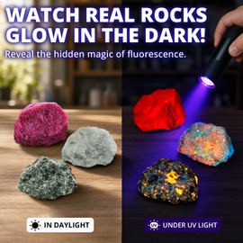 PIBEX Fluorescent Rock Science Kit, 6 Glowing Rocks, with UV Blacklight