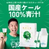 Q'SAI Aojiru The Kale Honey Powder 7g×30 Sachets with Shaker