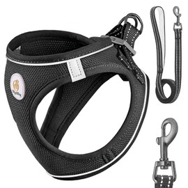 Hipubby Dog Harness with Leash Set, Step in Puppy Harness with No Pull Soft Mesh Pet Harness for Walking, Running, Training, Small Dogs,Cats（Black,M）