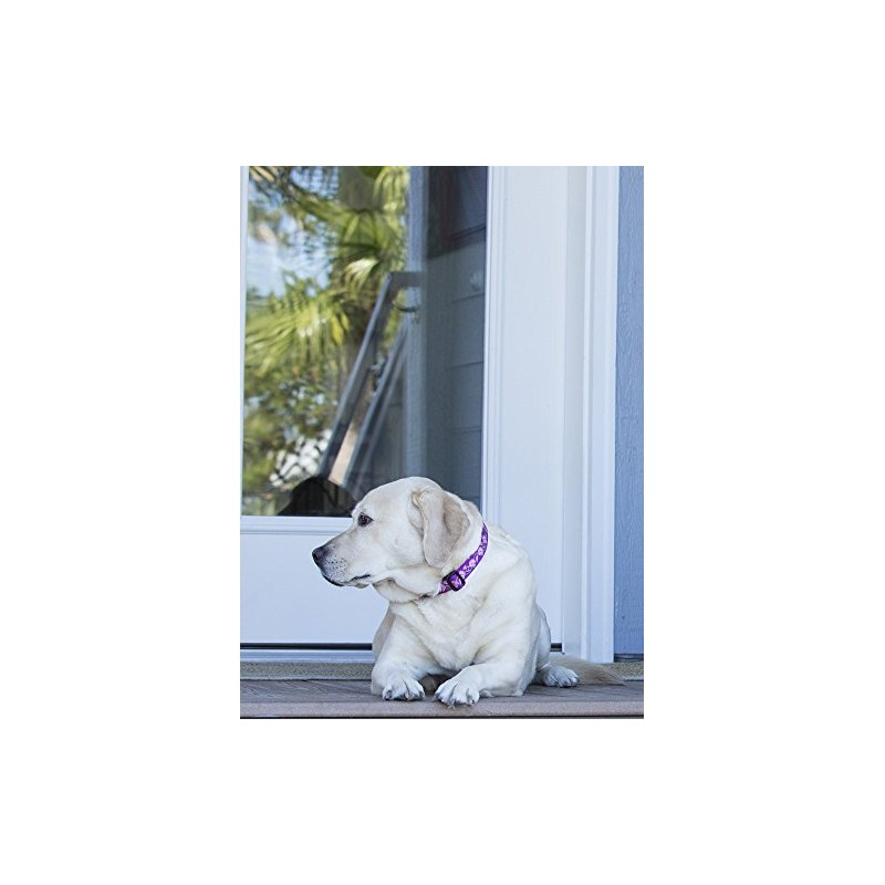 LupinePet Originals 1" Rose Garden 12-20" Adjustable Collar for Medium
