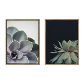 Kate and Laurel Sylvie Succulent 5 and Succulent 8 Framed Canvas Wall Art Set by Emiko and Mark Franzen of F2Images, 2 Piece Set 18x24 Gold, Modern Botanical Wall Décor
