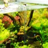 LANDEN Aquarium Thermometer for Rimless 10mm White Scale Background for
