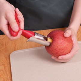 Apple Corer Remover for Pears Apple Pear Durable Portable Stainless Steel Apple Corer for Kitchen and Dishwasher (Red)