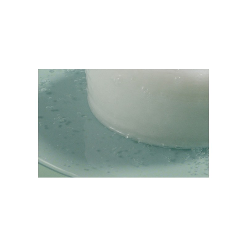 라운드랩 소나무 진정 시카 패드 195ml, 50매입, 1개 Round Lab