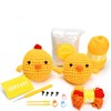 Crochet Kit for Beginners - 2Pcs Little Bears, Beginner Crochet