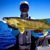 Northland Fishing Tackle Rigged Gumball Jig Swimbait Soft Plastic Lure,