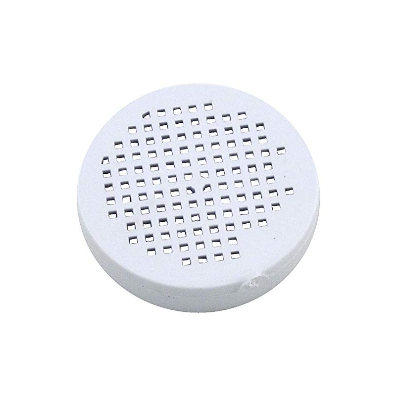 Pentair Check Valve Screen, Rainbow Bromine