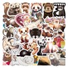 100PCS Ferret Stickers,Ferret Stickers,Teens Boys and Girls Sticker Pack Vinyl