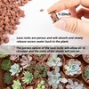 1.5 Lb Red Lava Rocks for Plants Decorative Landscaping 1/2"