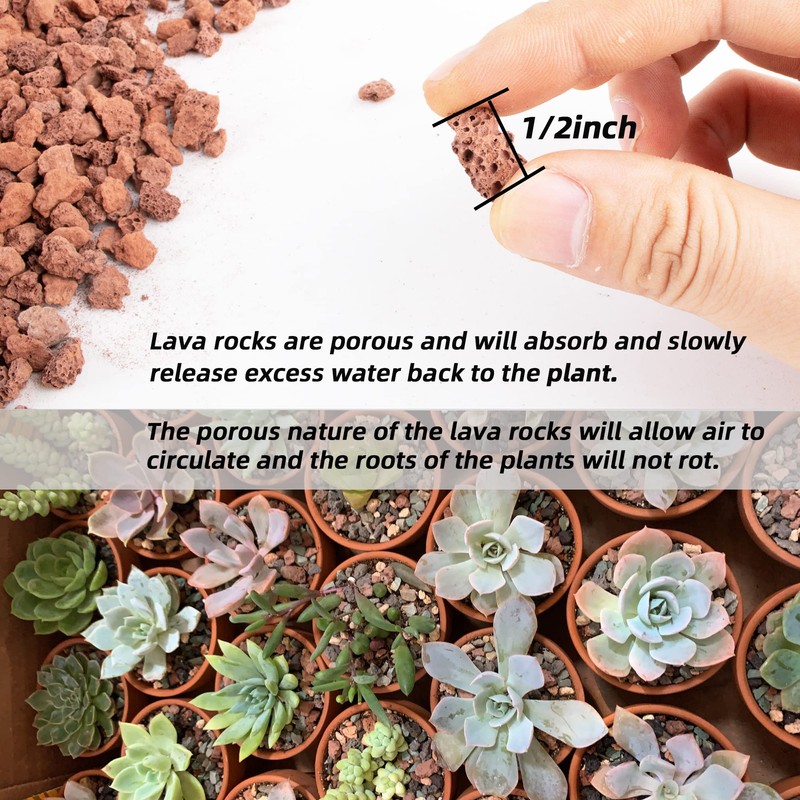 1.5 Lb Red Lava Rocks for Plants Decorative Landscaping 1/2"