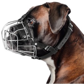 CleverTail Metal Muzzle for Boxer Dog Breed – Bite Proof Boxer Muzzle for Medium and Large Sized Dogs – Steel Wire Basket Muzzles for Dogs English Bulldog, American Bulldog etc.