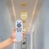Remote Control for Ceiling Fan with Lights Modern for Living