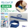 Ishizaki Material Cooling Scarf with a Cool M; Does not