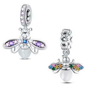 HappyStar 925 Sterling Silver Charms for Bracelets and Necklaces,Combination Dangle Pendants Beads Charms Jewelry Gift for Couples Sisters.（With Spacer Beads）