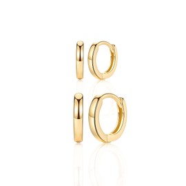 9ct Gold Hoop Earings for Womens - 2 Pairs Small Hoop Earrings Sterling Silver Cartilage Sleeper Hoops, Girls Silver Earrings Set | Hypoallergenic Helix Tragus Jewellery Endless Huggie Hoops for Men