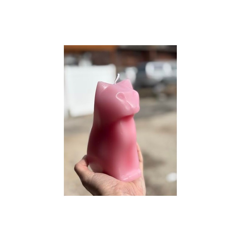 Hidden Skeleton Cat Candle (Pink)