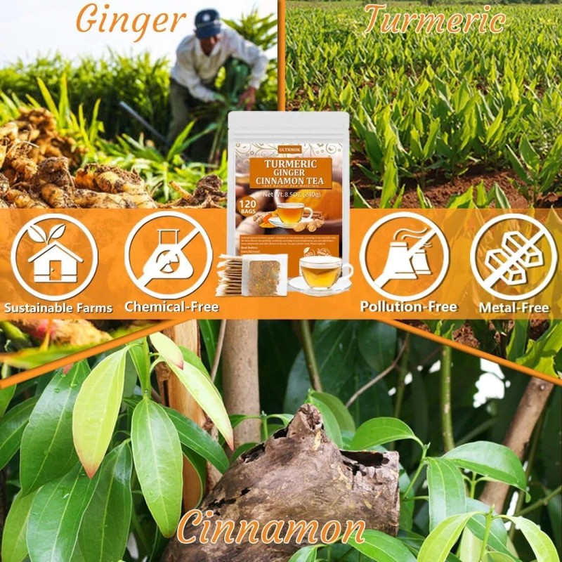ULTHMOK Turmeric Ginger Cinnamon Tea 120Bags No Additive Support Brain