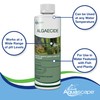 Aquascape 96026 Algaecide for Pond, Waterfall, and Water Features, 1-Gallon