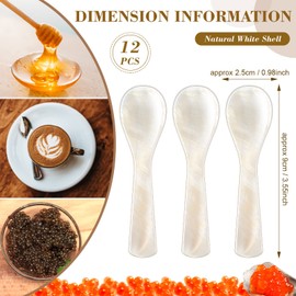 Caviar Spoons Mother of Pearl MOP Caviar Spoons with Hand Craft W Round Handle for Caviar, Egg, Ice Cream, Salt, Coffee Serving, Restaurant Serving Set (12 Pieces, 3.55 Inch)