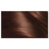 L'Oreal Excellence 5.5 Mahogany Brown