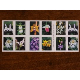20 FOREVER FIRST CLASS LETTER STAMPS WILD ORCHIDS STAMPS MNH 2020 BOOK PANE