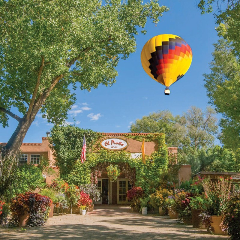 El Pinto All Natural Green Chile Sauce Hot, 16 Oz