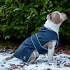 Ancol Muddy Paws All Weather Stormguard Coat . Navy Blue.
