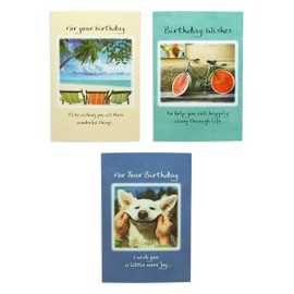 Blue Mountain Arts Birthday Card Assortment—3 Unique Greeting Cards with Uplifting Happy Birthday Wishes for the Special People in Your Life