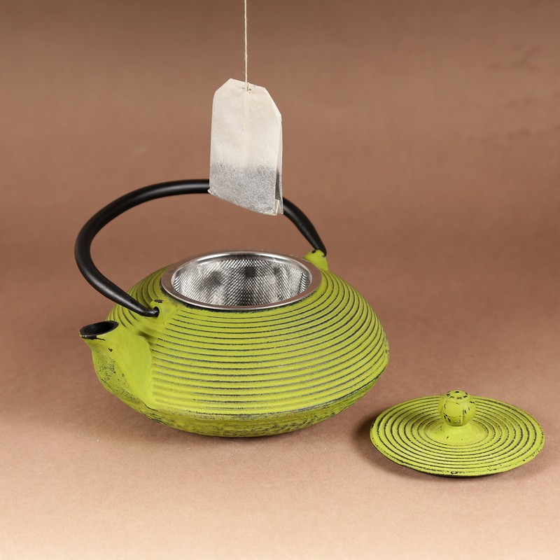 Creative Home 20 oz Cast Iron Kyusu Teapot with Stainless